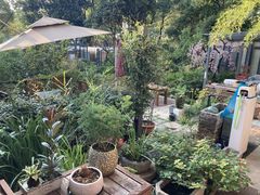 -谷咖啡·鲜花绿植花园餐厅