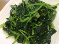 -台北楚楚园馅饼粥(虹桥南丰城店)