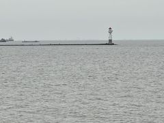 -上海滨江森林公园