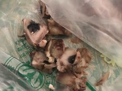羊眼-洪记白水羊头(天坛店)