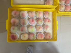 -老袁家蜜桃农场·阳山水蜜桃