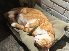 -門·屿 coffee&beer