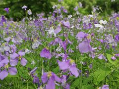 -东北林业大学-俭德园食堂