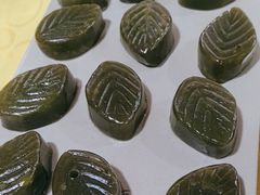 -麻奢鸽农庄·梦里水乡