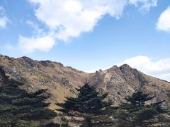 -牛背梁国家森林公园