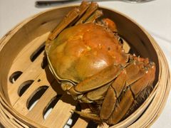 -广州万富希尔顿酒店-感趣自助餐厅·生蚝海鲜刺身