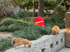 -龙华素斋(龙华路店)