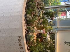 -春树下·树屋花房西餐厅(罍街AS1980店)