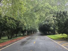 -河南省黄河迎宾馆