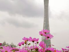 -海心沙亚运公园