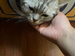 -H立方实景剧情密室(天河旗舰店)