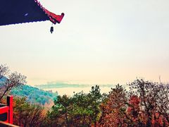 -东湖磨山景区