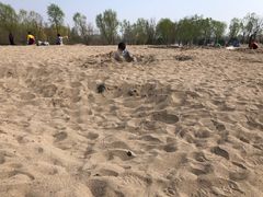 -东郊湿地公园