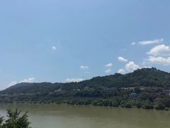 -后柳水乡