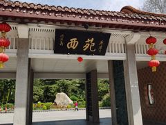 -西苑公园