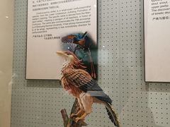 -辽宁古生物博物馆
