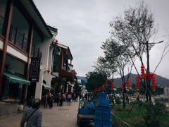 -长兴慧子土特产茶行