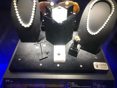 -湖南省地质博物馆