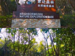 -广东茂名森林公园