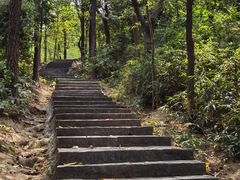 -火炉山森林公园