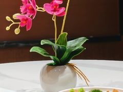 -酒蜻蜓·庭院私房菜(天元东路店)