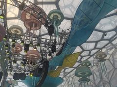 -水立方嬉水乐园