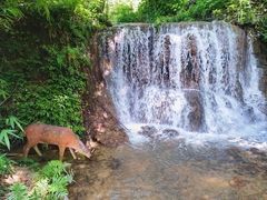 -天河潭旅游度假区