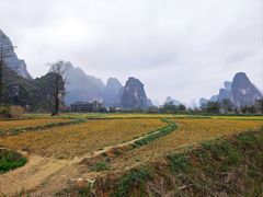 -明仕田园