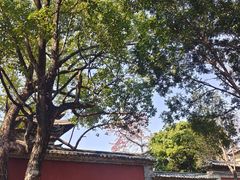 -建水文庙
