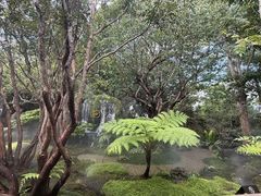 -Chom Cafe and Restaurant