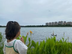 -桐乡凤凰湖
