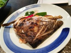盐烤鲑鱼头-将太无二·北美传奇寿司(瑞士公寓店)