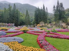 -深圳仙湖植物园