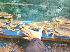 -小贝壳酒楼(经九路店)