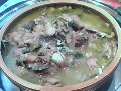 -咖啡苑·沈阳今旅酒店Hotel Jen·香格里拉集团