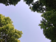 -堤角公园