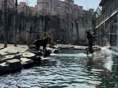 -上海野生动物园