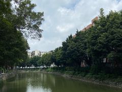 -晓港公园