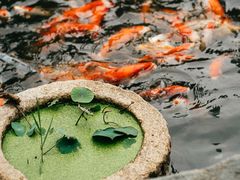 -火车头时光旧物仓