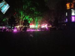 -枫花园汽车电影院(朝阳公园店)