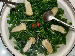 松茸苋菜汤-悦融·京鲁菜·露台花园(安定门店)