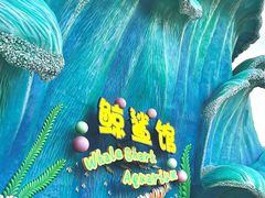 -珠海长隆海洋王国