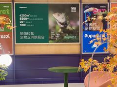 -帕帕拉兹宠物(亚洲旗舰店)