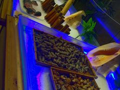 -银鲨海鲜烤肉火锅自助餐厅(五星店)