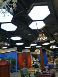 -东晨宝格丽品质造型