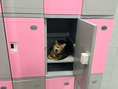 -FIGHTMAN格斗俱乐部(长宁临空店)