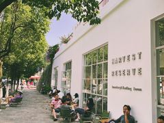 -收获咖啡HARVEST RESERVE(苍山店)