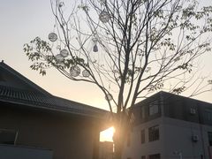 -广州市帽峰山景区