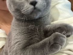 -佳雯宠物医院·皮肤科·内外科(春晓路分院)