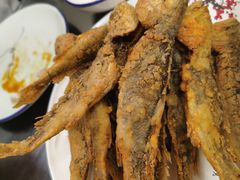 -鸭味飞飞